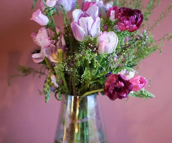 بيت ضيافة Craig Walk