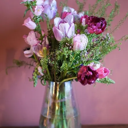 Vendégház Craig Walk