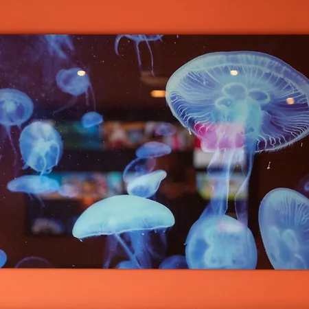 Craig Walk Vendégház