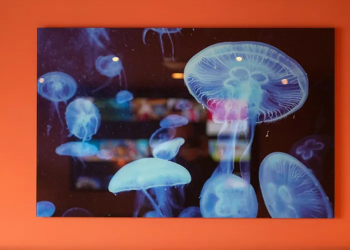 Craig Walk Gæstehus